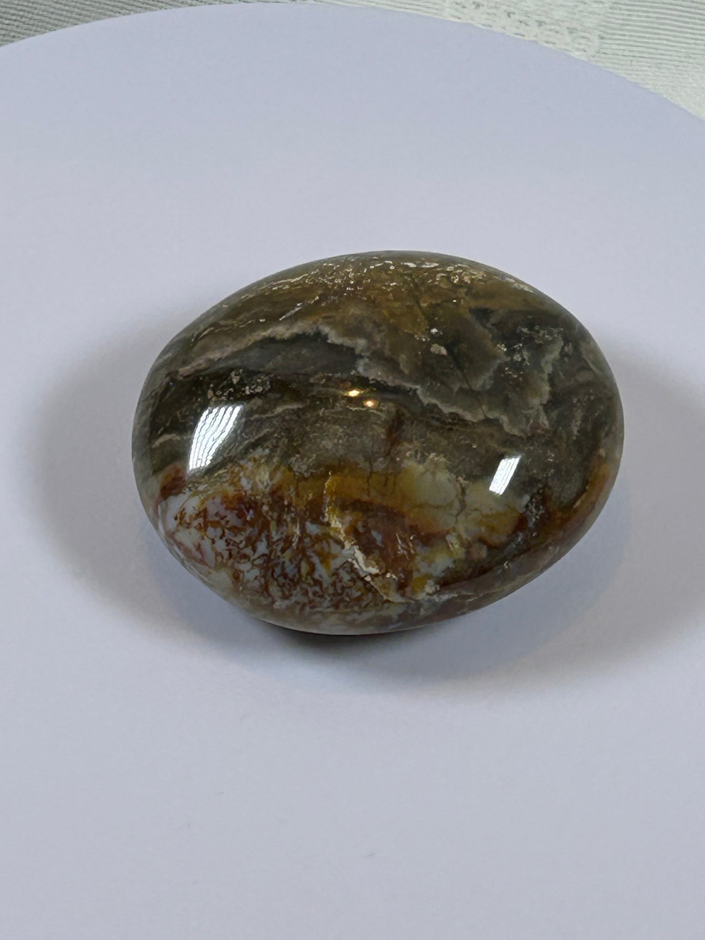(#122) - OCEAN JASPER PALM STONE POLISHED - NEW
