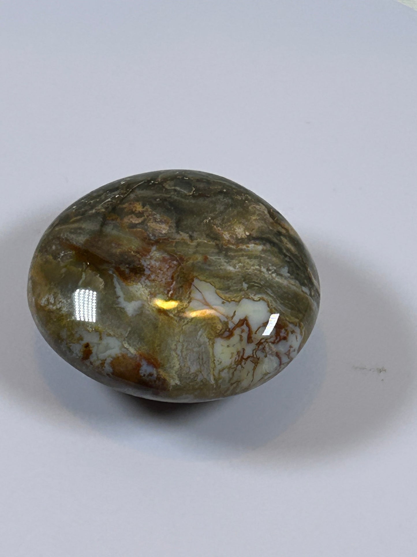 (#122) - OCEAN JASPER PALM STONE POLISHED - NEW