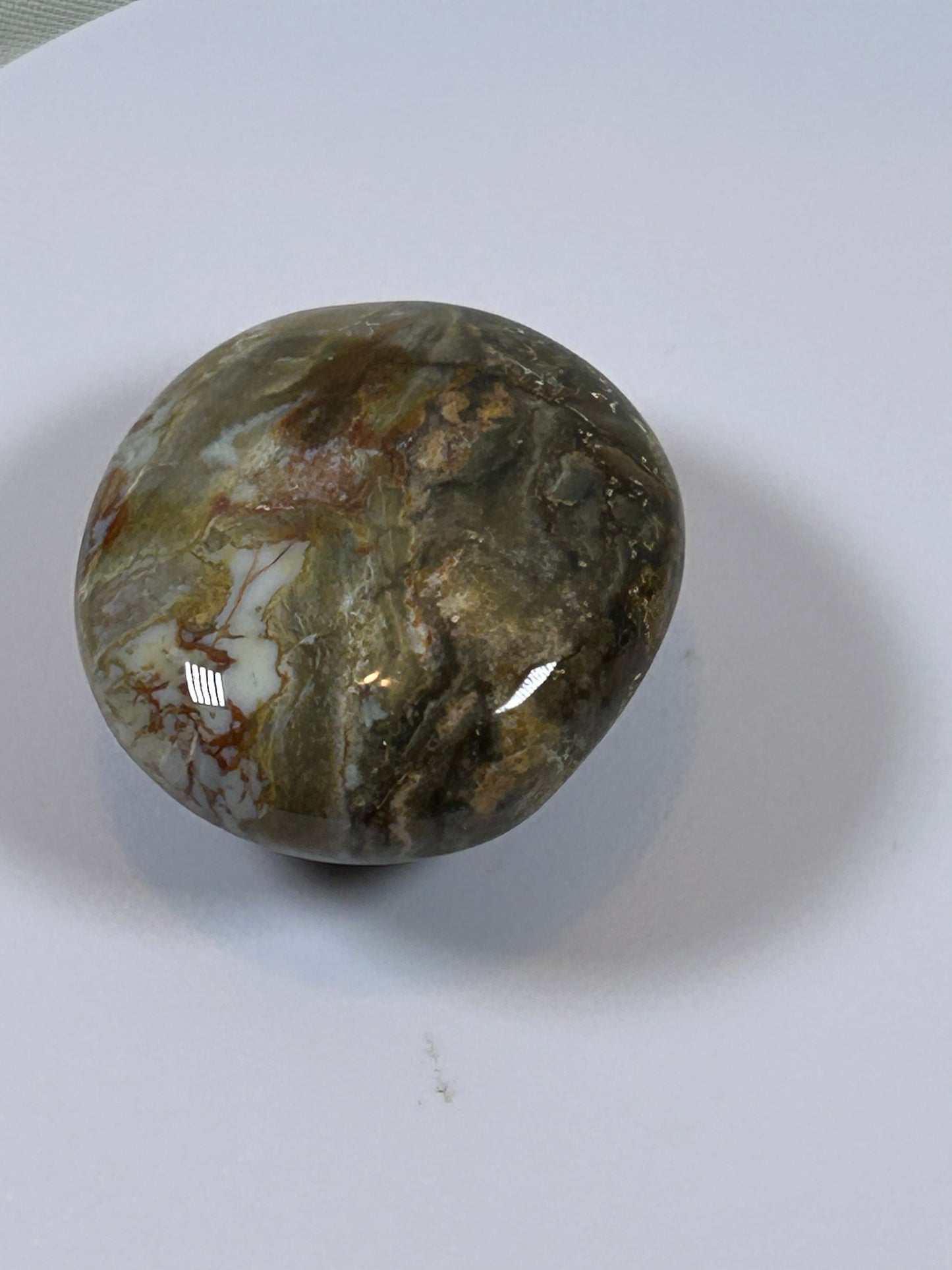 (#122) - OCEAN JASPER PALM STONE POLISHED - NEW