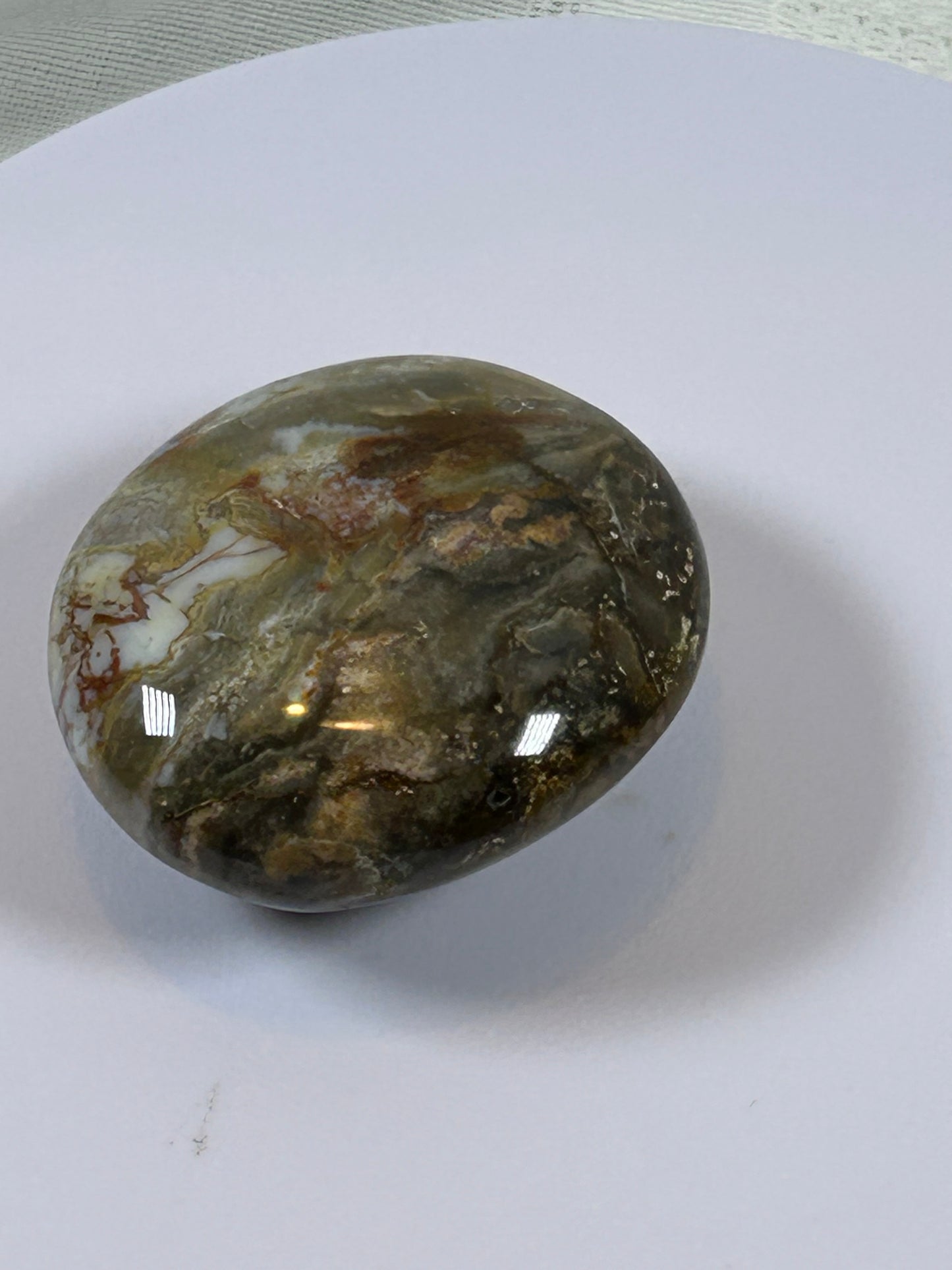 (#122) - OCEAN JASPER PALM STONE POLISHED - NEW