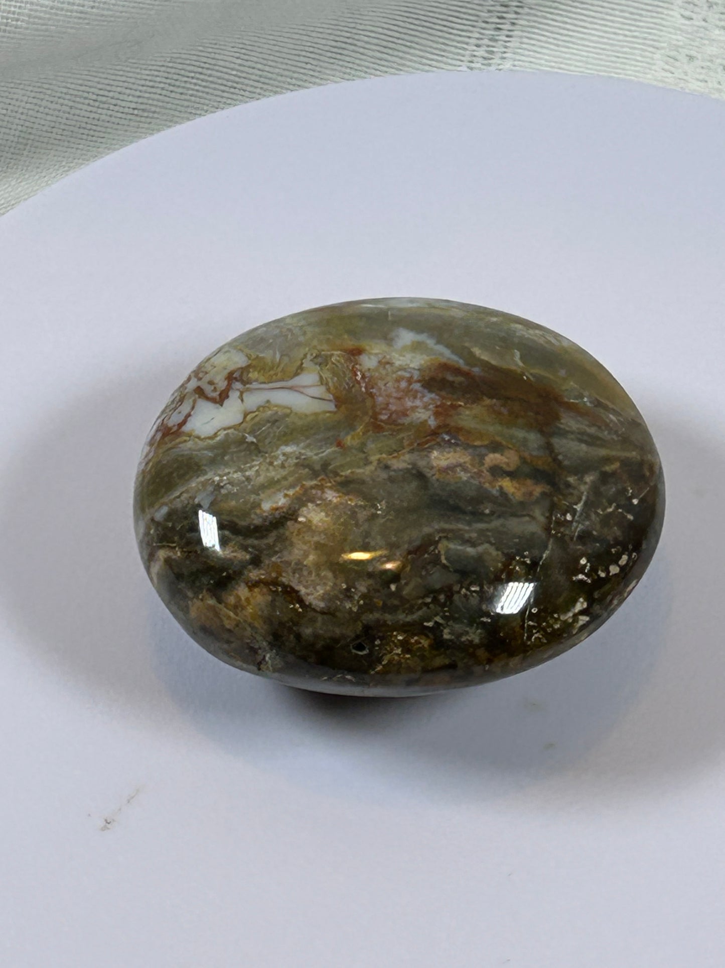 (#122) - OCEAN JASPER PALM STONE POLISHED - NEW