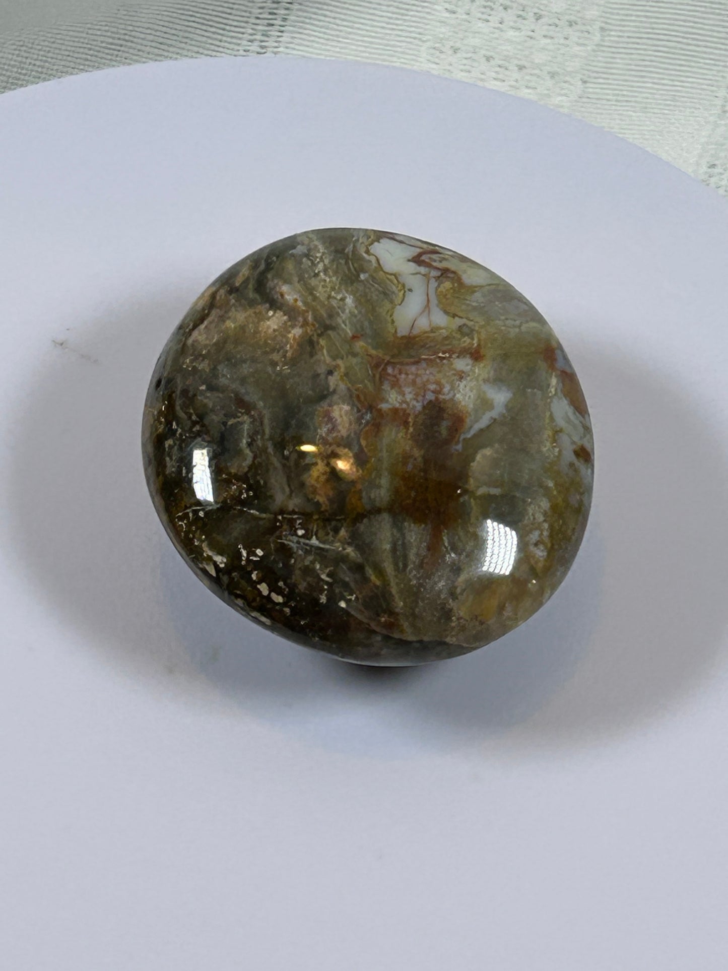 (#122) - OCEAN JASPER PALM STONE POLISHED - NEW