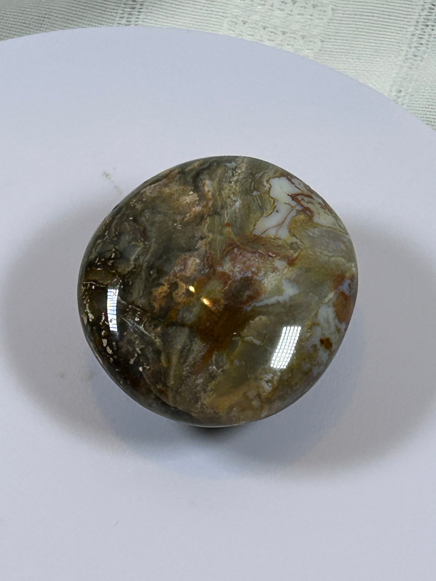 (#122) - OCEAN JASPER PALM STONE POLISHED - NEW