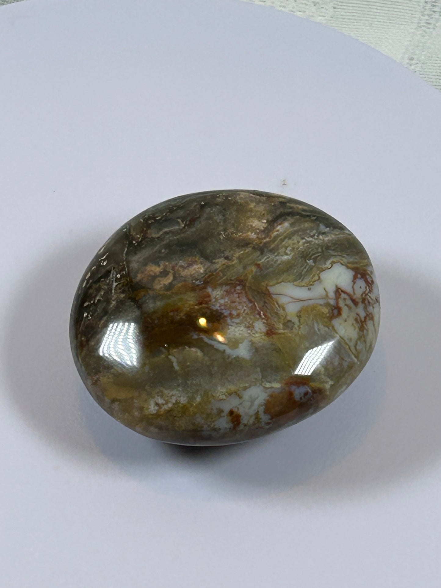 (#122) - OCEAN JASPER PALM STONE POLISHED - NEW