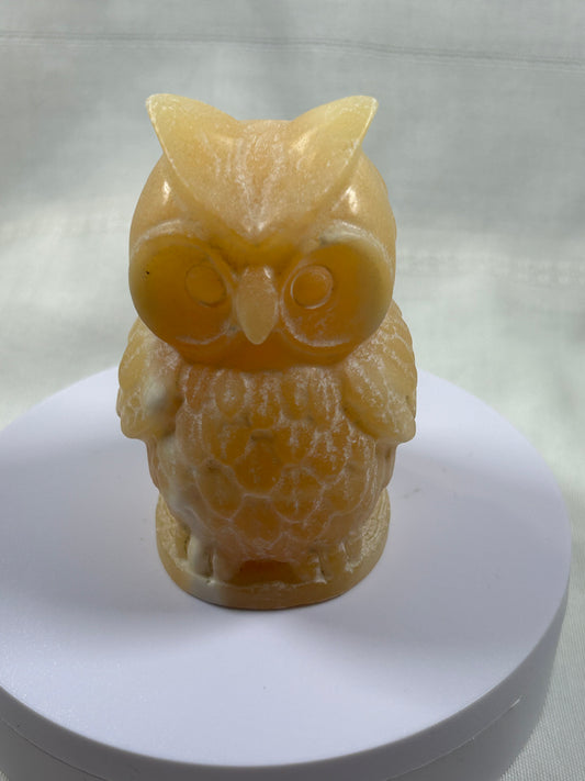(#1059) - Calcite Owl - New