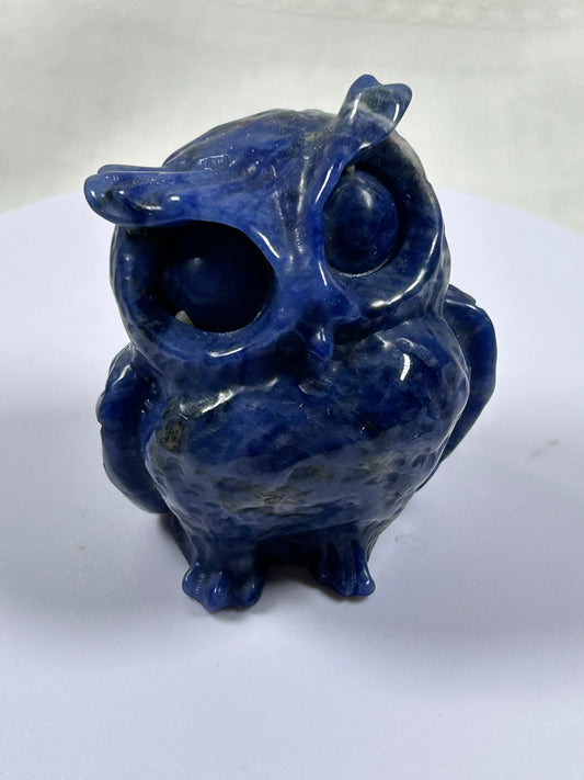 (#1062) - Sodalite Owl - New