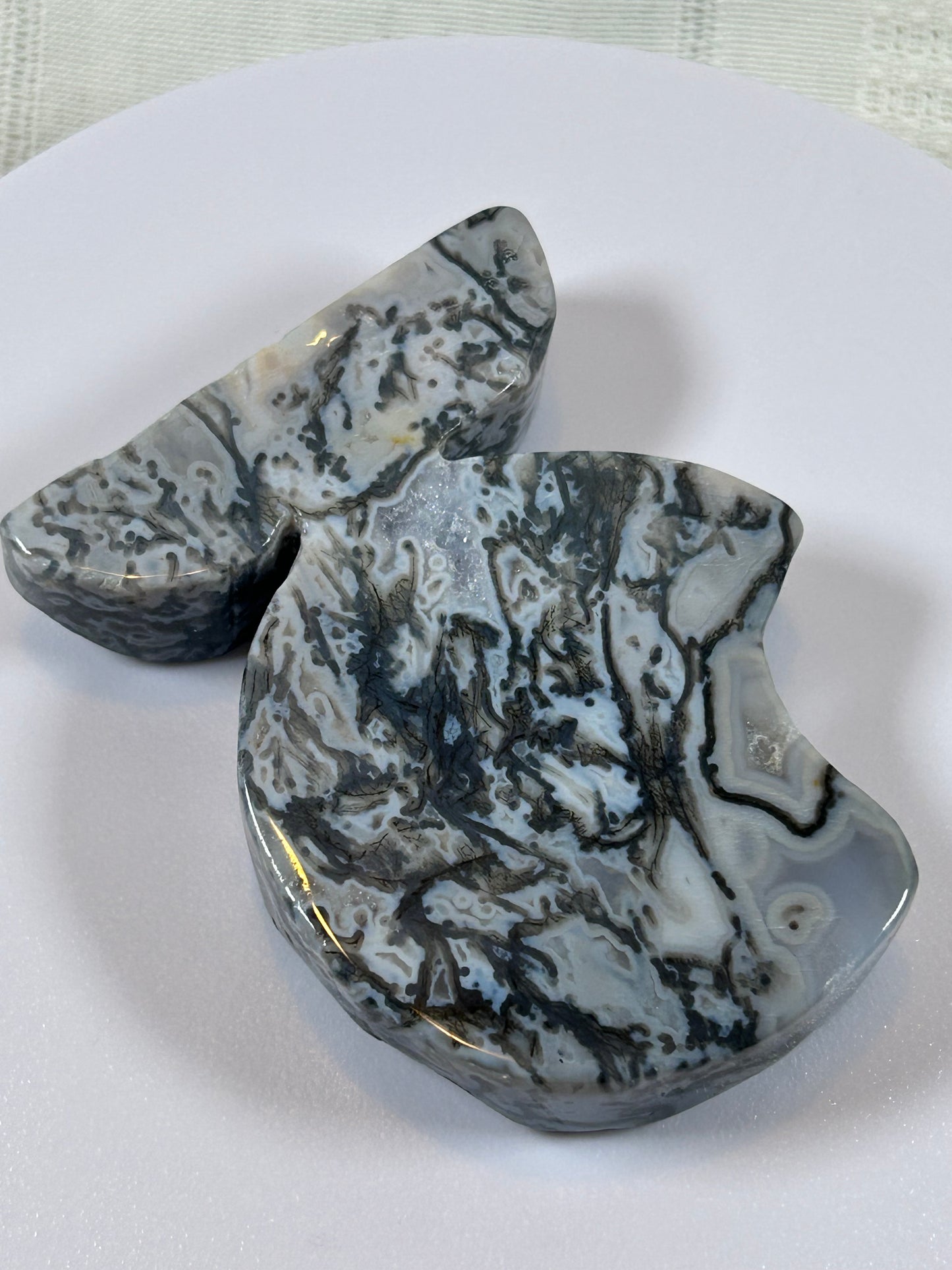 (#6) - OCEAN JASPER 3/4 MOON CARVING - NEW