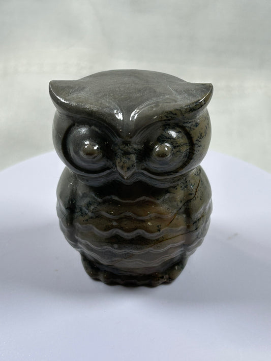 (#1060) - Jasper Owl - New