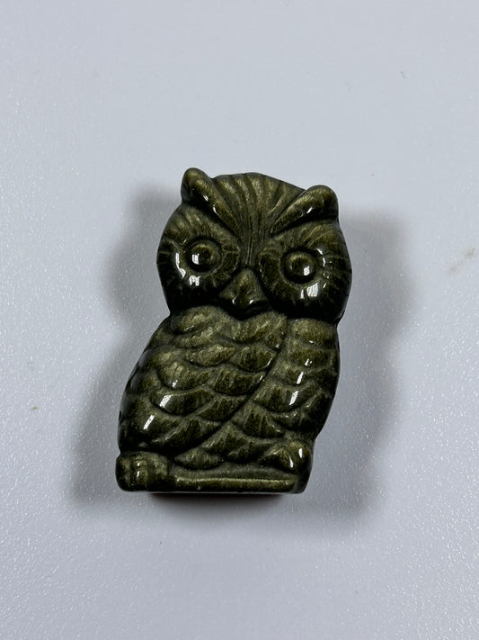 (#1067) - Ammonite Owl - New