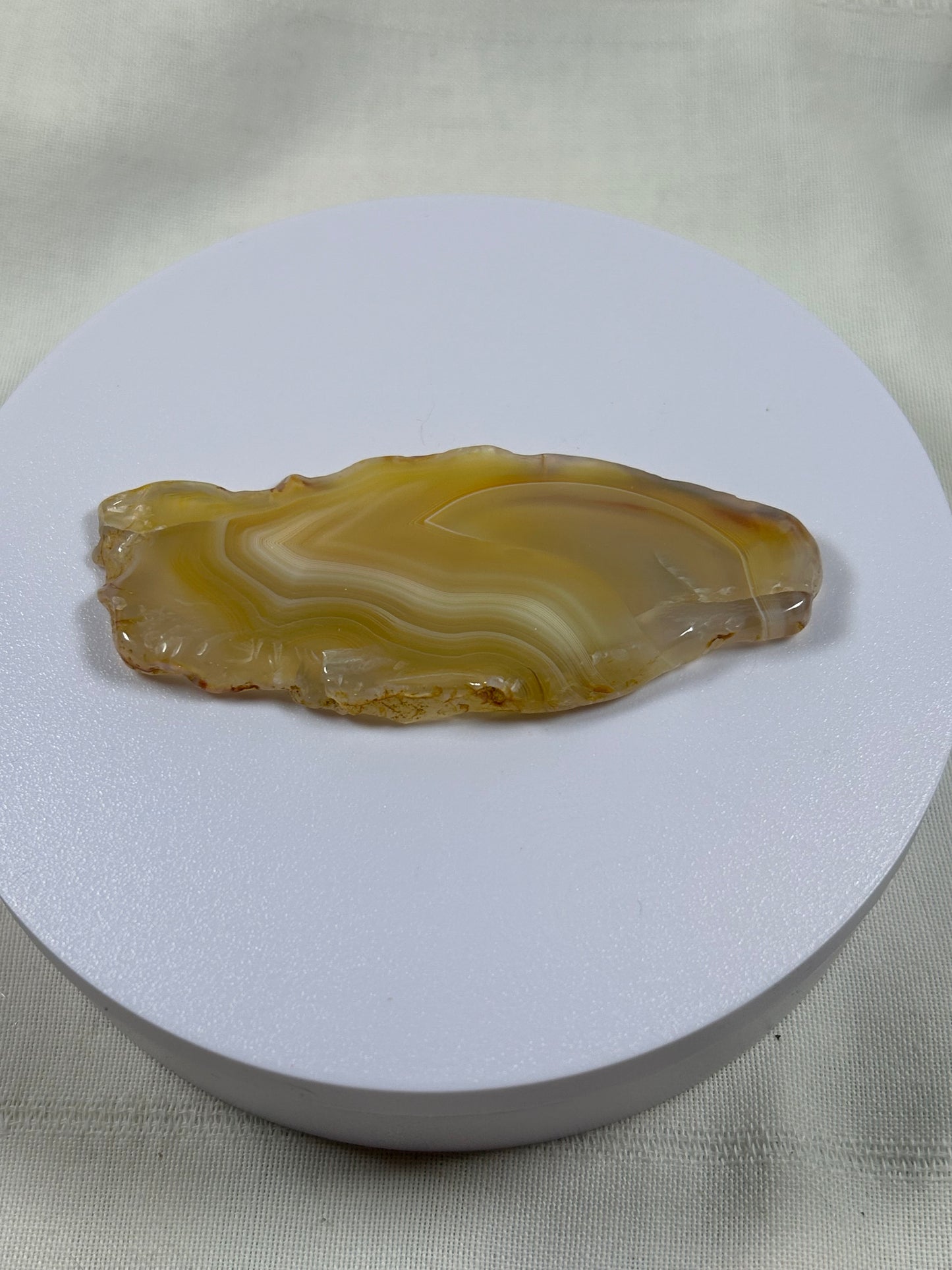 (#1118) - Agate Slice - New