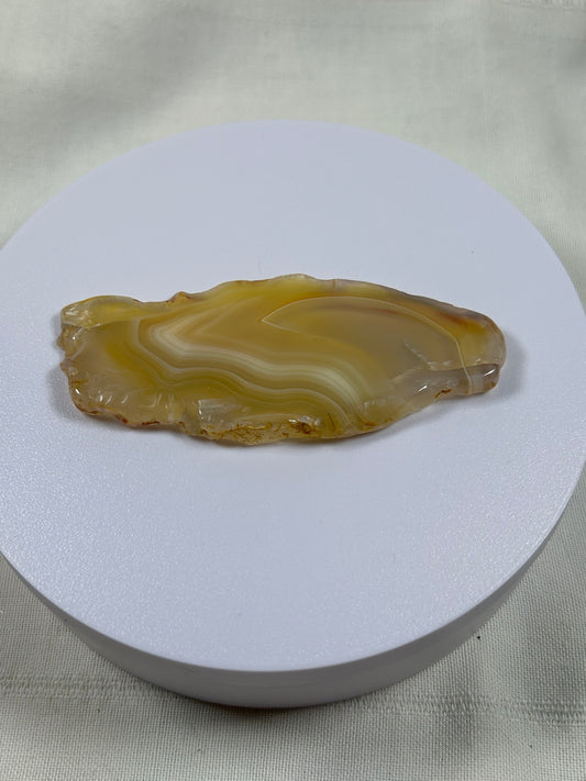 (#1118) - Agate Slice - New