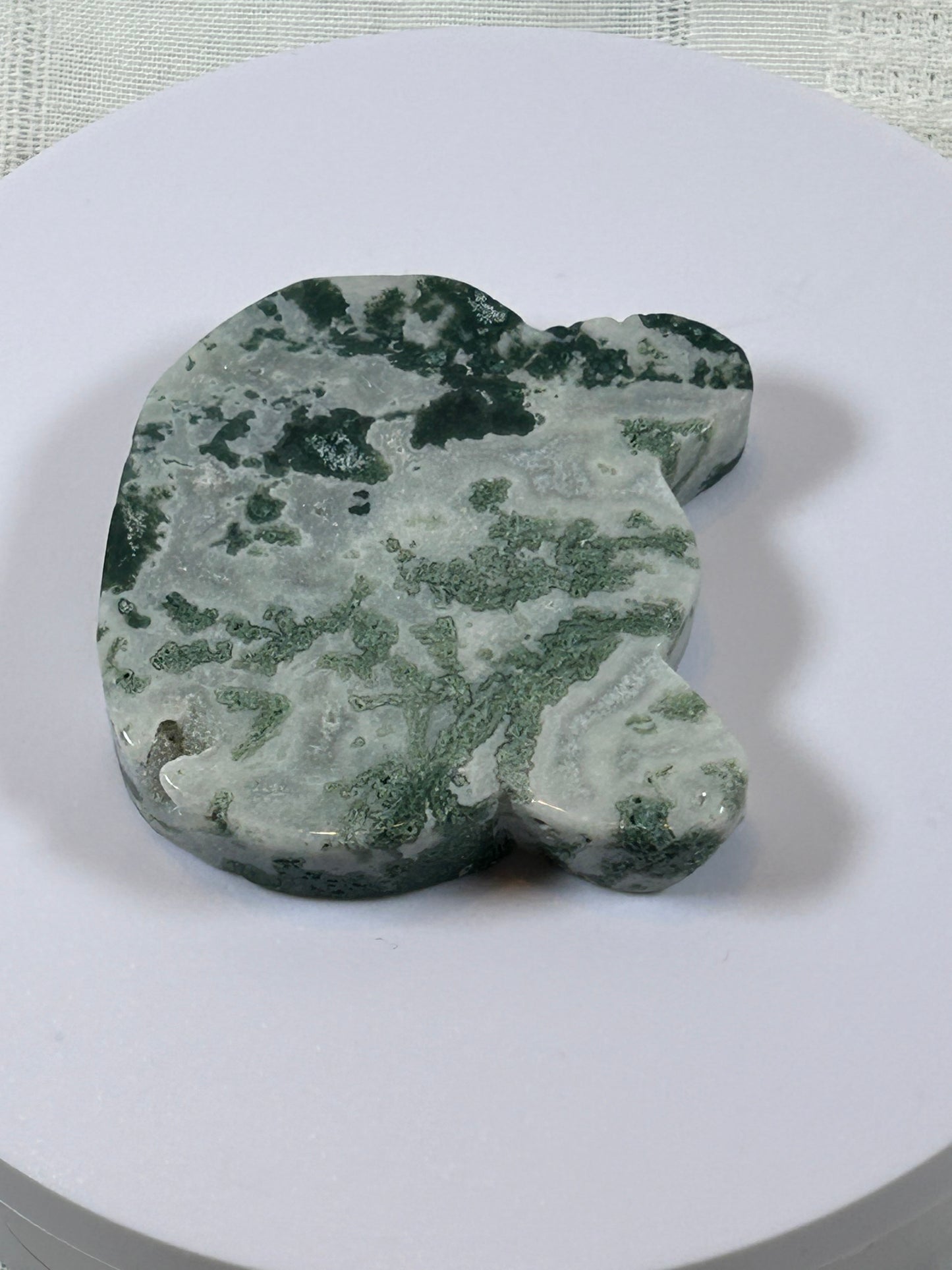 (#35) - TREE AGATE BEAR HEAD CARVING - NEW