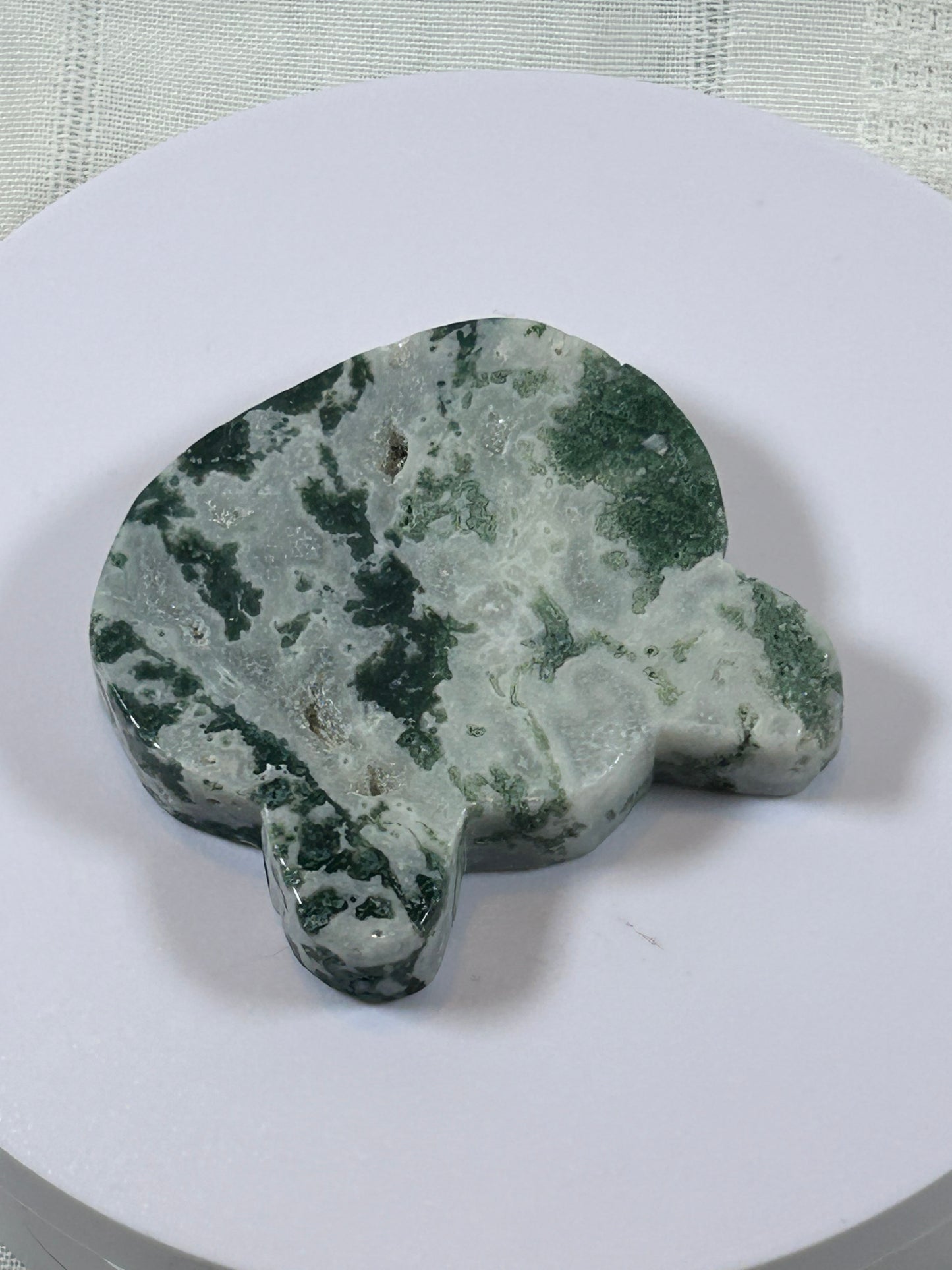 (#35) - TREE AGATE BEAR HEAD CARVING - NEW