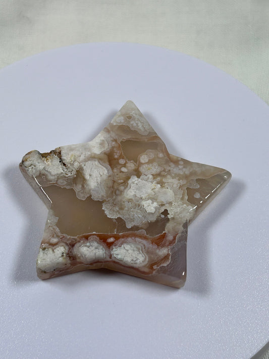 (#1127) - Flower Agate Star - New