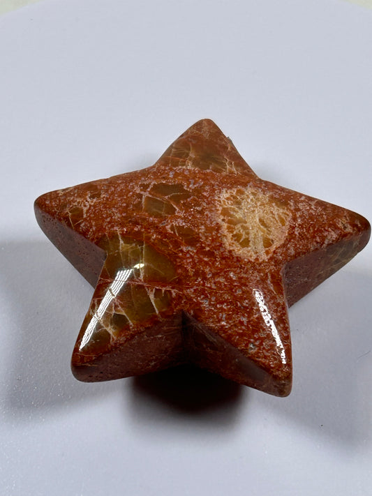 (#1131) - Jasper Star - New
