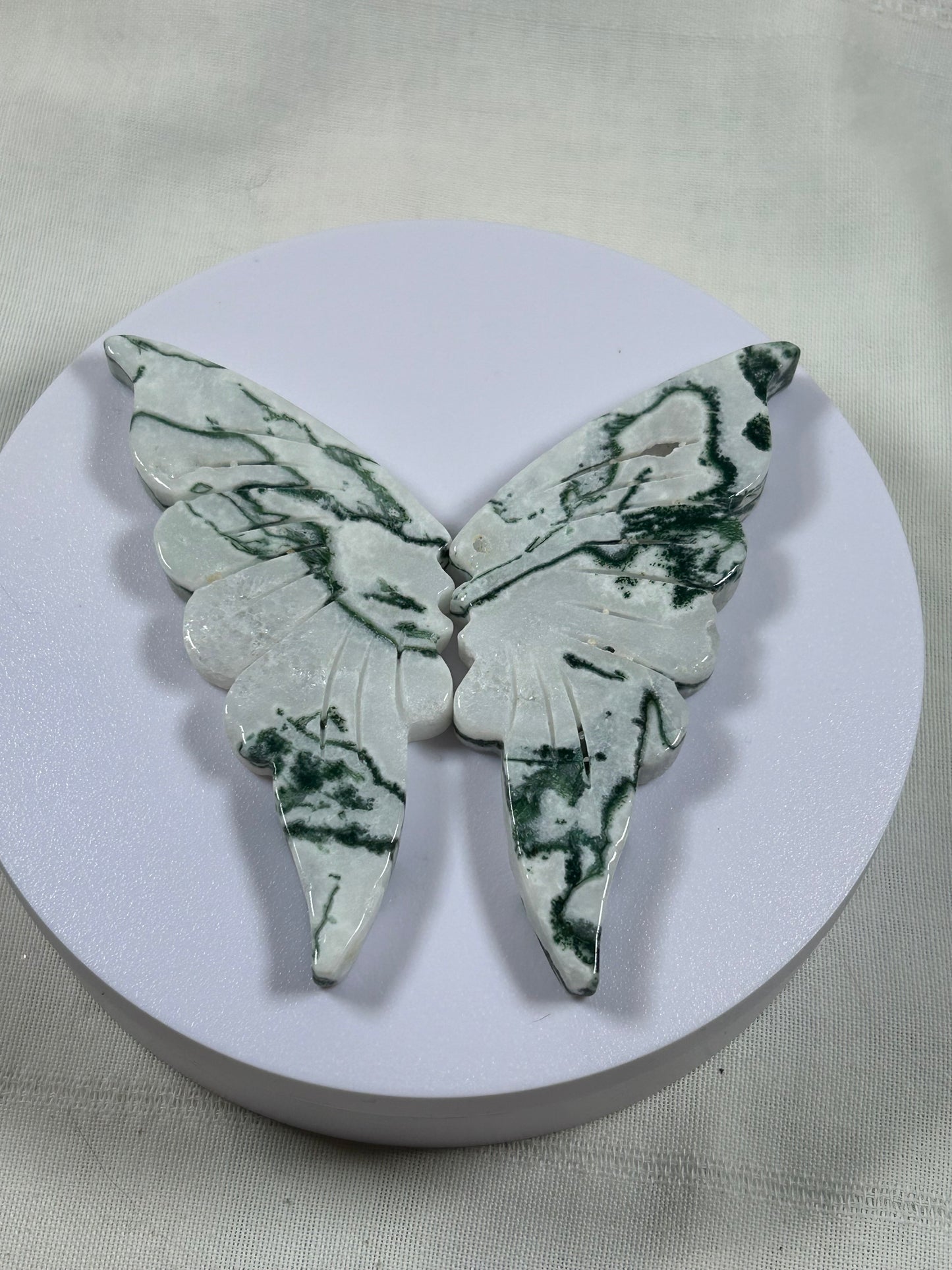 (#1184) - Tree Agate Wings - New