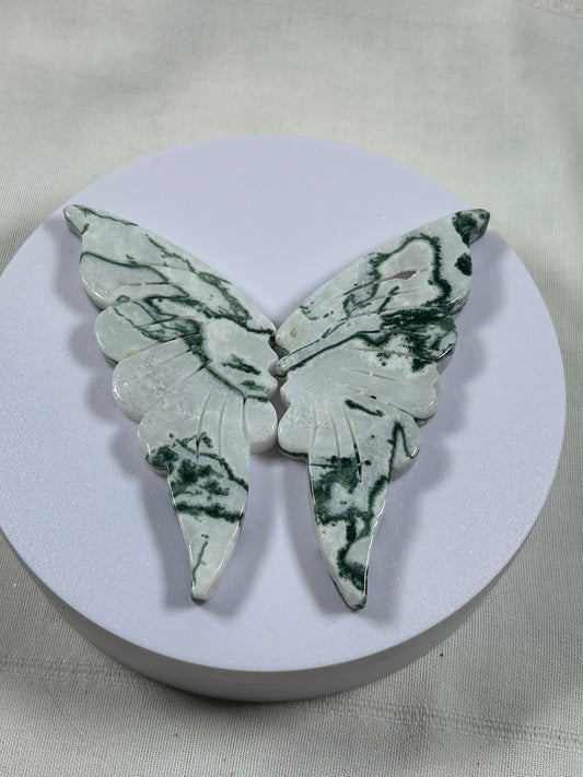 (#1184) - Tree Agate Wings - New