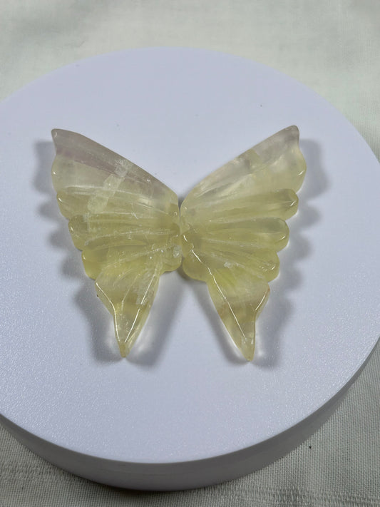 (#1186) - Calcite Wings - New