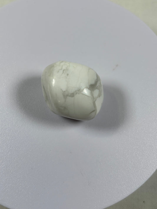 (#1312) - Howlite Tumble - New